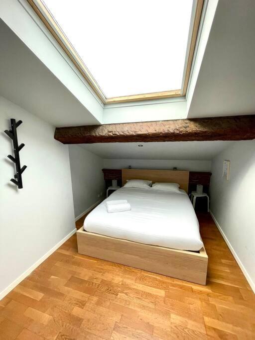 Le Charmeur - Appartement Climatise Avec 2 Chambres - Hypercentre Τουλούζη Εξωτερικό φωτογραφία